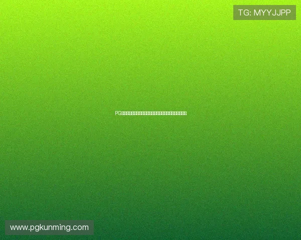 PG娱乐开户下载官网官方平台，提供专业客服全天候在线服务