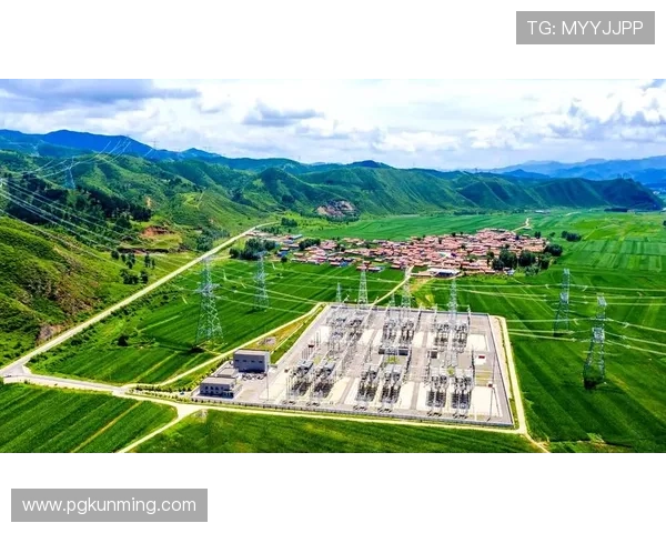 pg电子官方网站人口增长的驱动因素及其对行业的推动作用