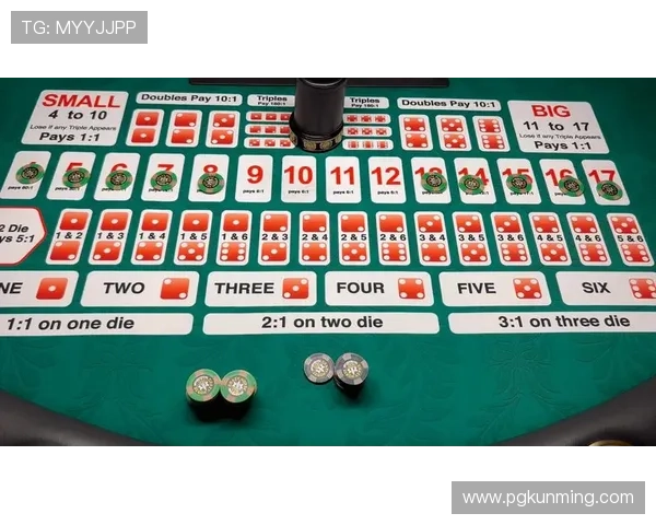 PG电子登录娱乐平台官网助力行业数字化转型，推动线上娱乐行业迈向新高度