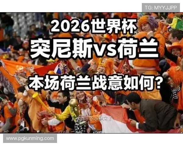 世界杯突尼斯对荷兰比赛越位次数详细统计及裁判判罚对比赛战术的影响分析 世界杯突尼斯对荷兰比赛越位次数详细统计及裁判判罚对比赛战术的影响分析
